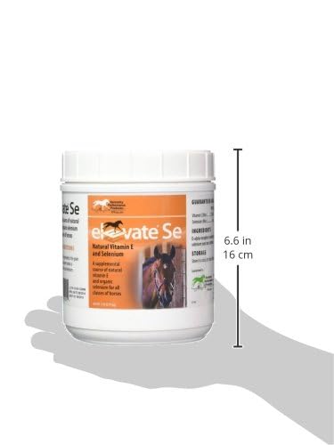 Kentucky Performance Prod Elevate Se Natural Vitamin E and Selenium Powder for Horses, 2 Pound Container