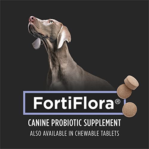 Purina Pro Plan Veterinary Supplements FortiFlora Chewable Dog Probiotic Supplement Tablets - 45 ct. Canister