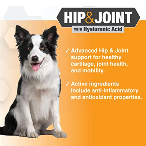 Nootie PROGILITY Daily Hip & Joint Chews for Dogs - Supports Joint Health, Joint Pain Relief, Helps Improve Mobility with Hyaluronic Acid, Glucosamine, Chondroitin, and MSM - For All Dog Sizes - 90 ct