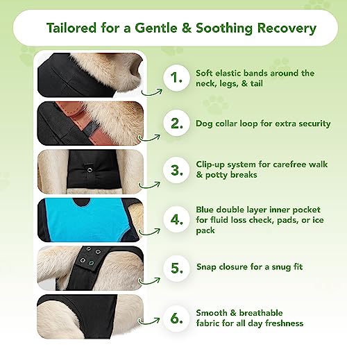 Suitical Recovery Suit for Dogs - Dog Surgery Recovery Suit with Clip-Up System - Breathable Fabric for Spay, Neuter, Skin Conditions, Incontinence - M+ Dog Suit, Black