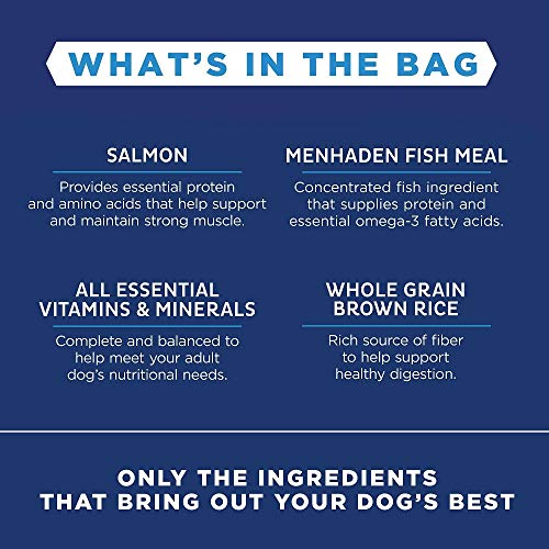 Natural Balance Limited Ingredient Adult Dry Dog Food with Healthy Grains, Salmon & Brown Rice Recipe, 12 Pound (Pack of 1)