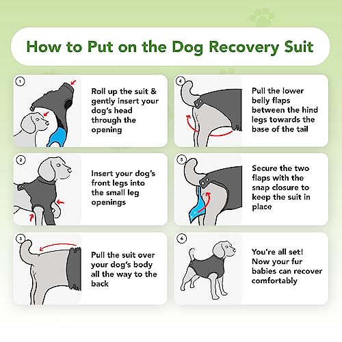 Suitical Recovery Suit for Dogs - Dog Surgery Recovery Suit with Clip-Up System - Breathable Fabric for Spay, Neuter, Skin Conditions, Incontinence - M+ Dog Suit, Black