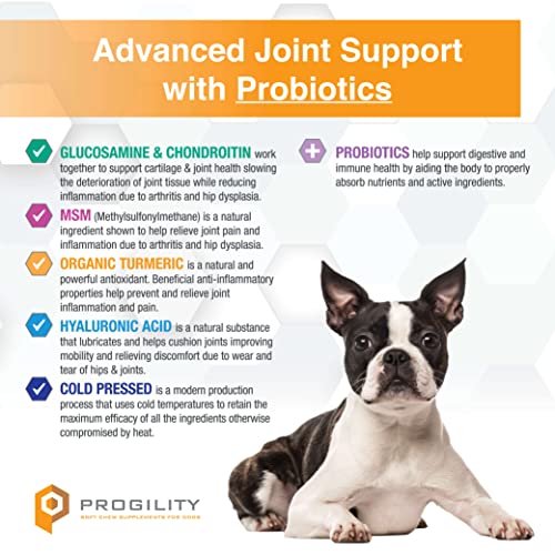 Nootie PROGILITY Daily Hip & Joint Chews for Dogs - Supports Joint Health, Joint Pain Relief, Helps Improve Mobility with Hyaluronic Acid, Glucosamine, Chondroitin, and MSM - For All Dog Sizes - 90 ct