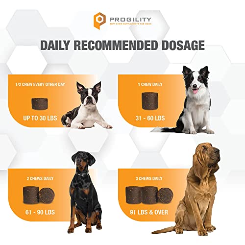 Nootie PROGILITY Daily Hip & Joint Chews for Dogs - Supports Joint Health, Joint Pain Relief, Helps Improve Mobility with Hyaluronic Acid, Glucosamine, Chondroitin, and MSM - For All Dog Sizes - 90 ct