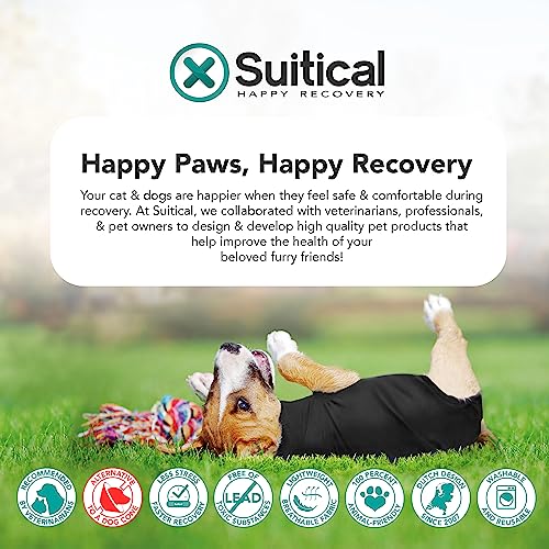 Suitical Recovery Suit for Dogs - Dog Surgery Recovery Suit with Clip-Up System - Breathable Fabric for Spay, Neuter, Skin Conditions, Incontinence - M+ Dog Suit, Black