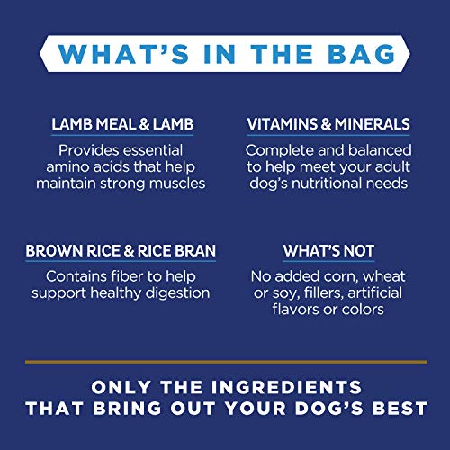 Natural Balance Limited Ingredient Adult Dry Dog Food with Healthy Grains, Salmon & Brown Rice Recipe, 12 Pound (Pack of 1)