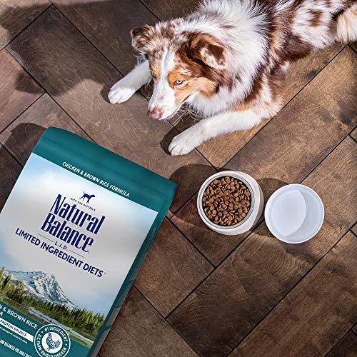 Natural Balance Limited Ingredient Adult Dry Dog Food with Healthy Grains, Salmon & Brown Rice Recipe, 12 Pound (Pack of 1)