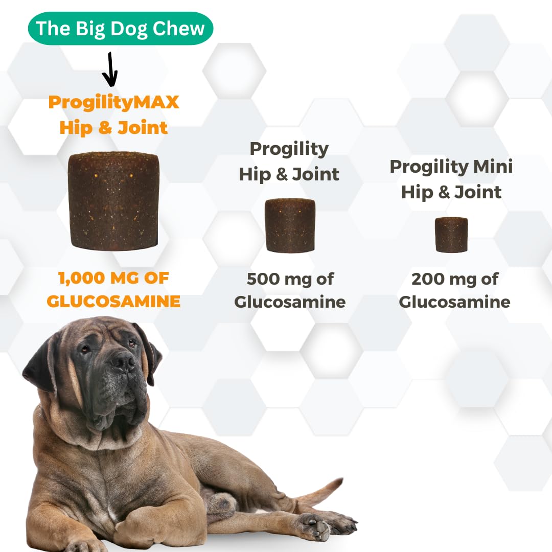 Nootie PROGILITY Daily Hip & Joint Chews for Dogs - Supports Joint Health, Joint Pain Relief, Helps Improve Mobility with Hyaluronic Acid, Glucosamine, Chondroitin, and MSM - For All Dog Sizes - 90 ct