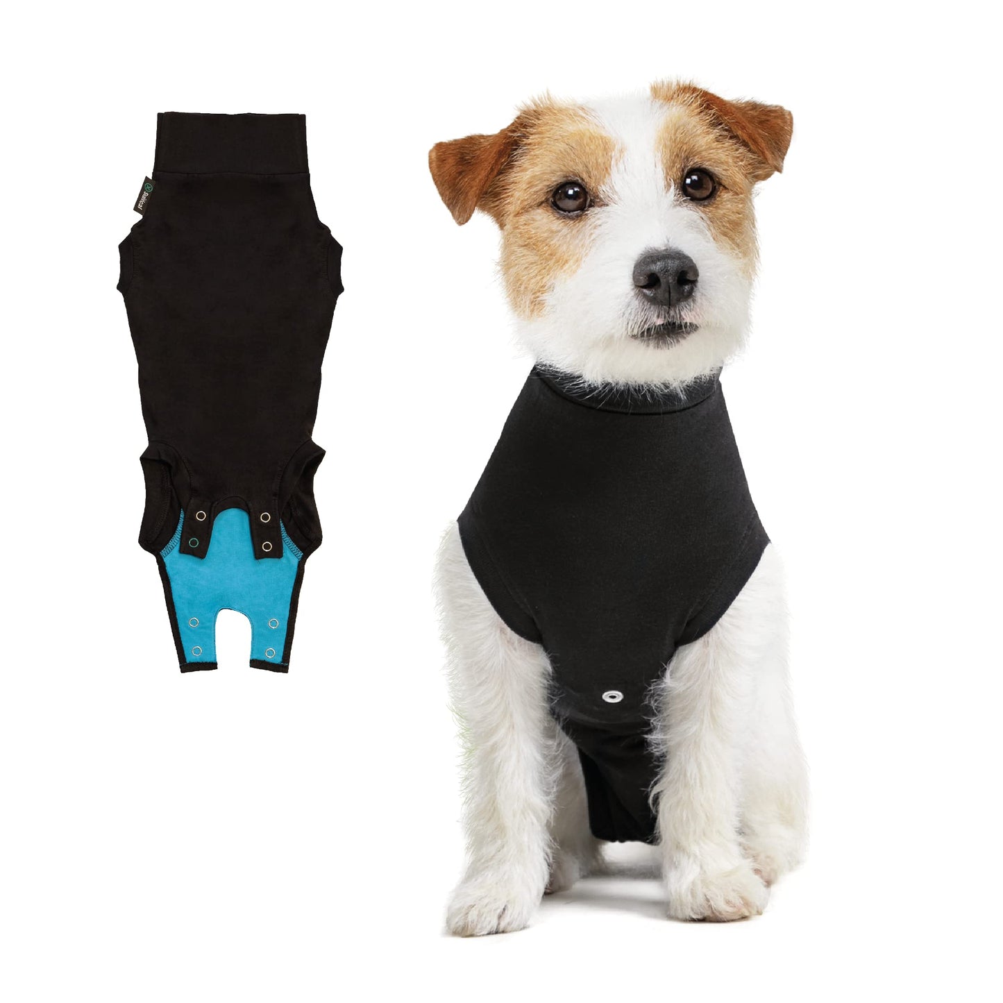 Suitical Recovery Suit for Dogs - Dog Surgery Recovery Suit with Clip-Up System - Breathable Fabric for Spay, Neuter, Skin Conditions, Incontinence - M+ Dog Suit, Black