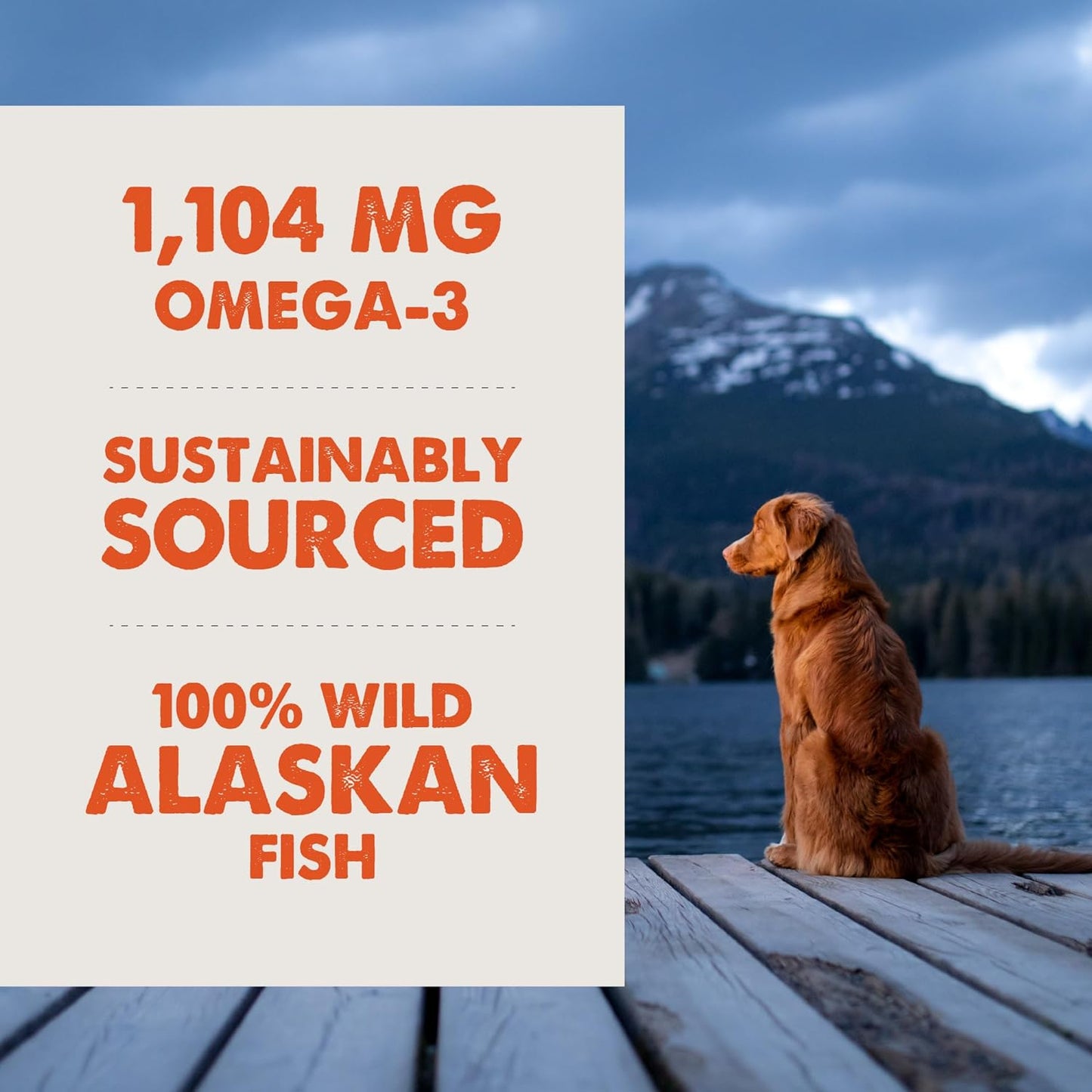 Grizzly Wild Alaskan Salmon Oil Dog Food Supplement Omega 3 Fatty Acids, 16 oz