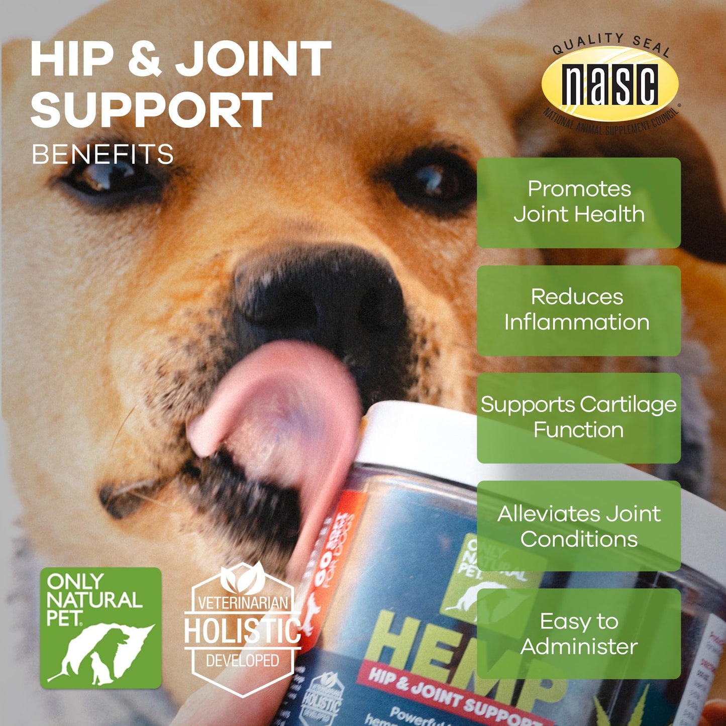 Only Natural Pet Hemp Hip & Joint Support for Dogs - Supplement for Mobility Wellness Pain Relief Healthy Inflammatory & Bone Stiffness - Chews w/Fatty Acid Blend Mussels & Turmeric - 120 Count