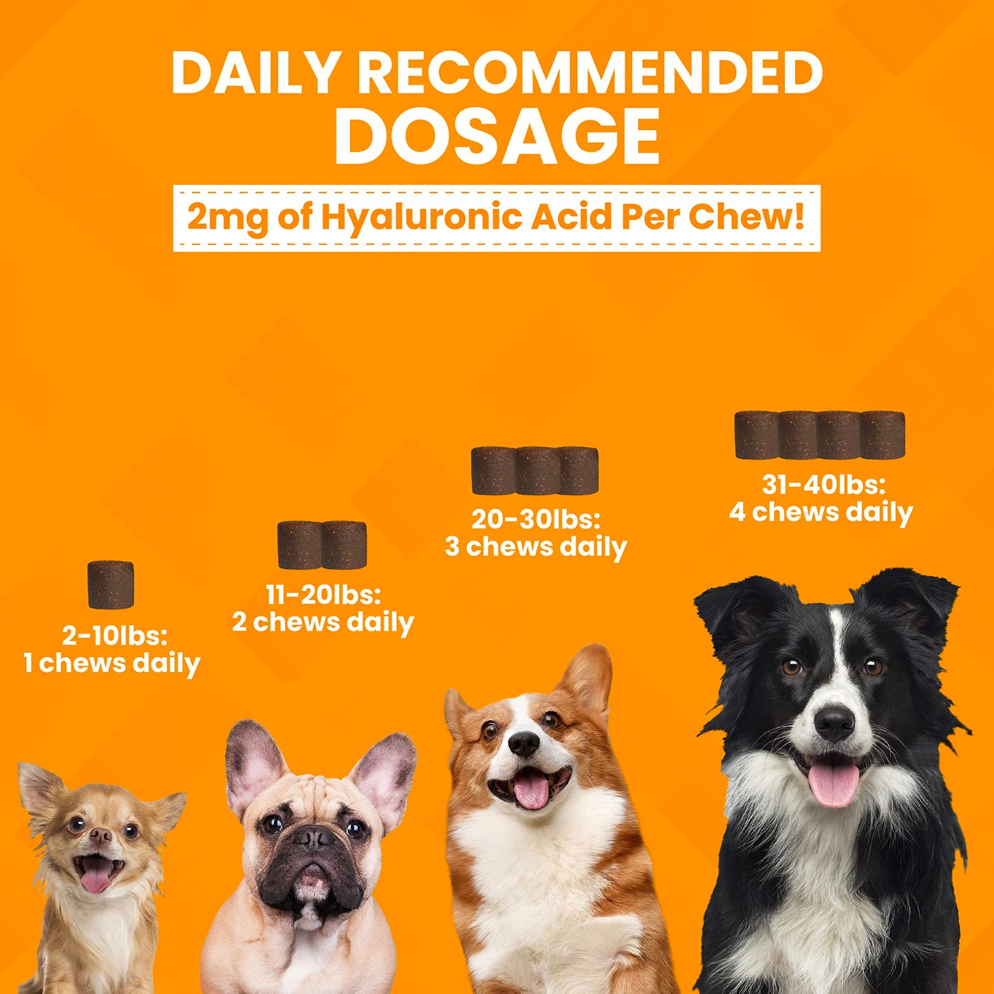 Nootie PROGILITY Daily Hip & Joint Chews for Dogs - Supports Joint Health, Joint Pain Relief, Helps Improve Mobility with Hyaluronic Acid, Glucosamine, Chondroitin, and MSM - For All Dog Sizes - 90 ct