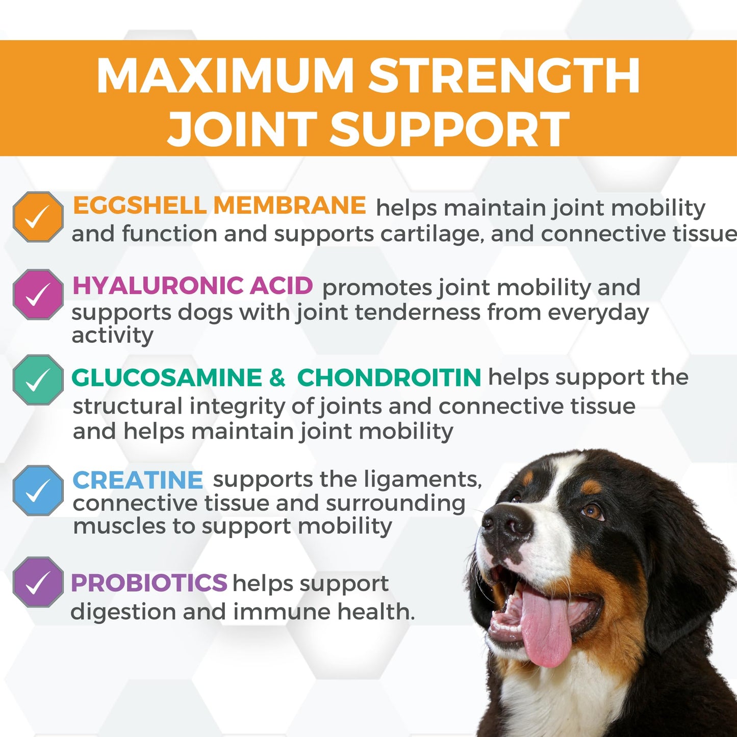 Nootie PROGILITY Daily Hip & Joint Chews for Dogs - Supports Joint Health, Joint Pain Relief, Helps Improve Mobility with Hyaluronic Acid, Glucosamine, Chondroitin, and MSM - For All Dog Sizes - 90 ct