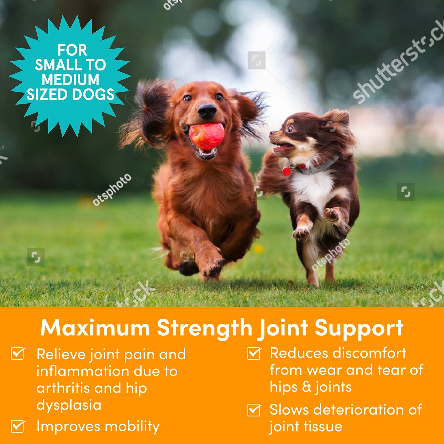 Nootie PROGILITY Daily Hip & Joint Chews for Dogs - Supports Joint Health, Joint Pain Relief, Helps Improve Mobility with Hyaluronic Acid, Glucosamine, Chondroitin, and MSM - For All Dog Sizes - 90 ct