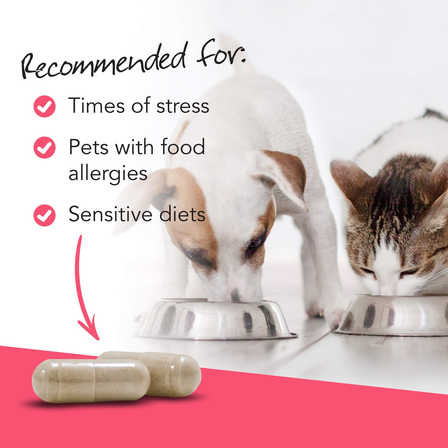 VetriScience Laboratories Vetri Mega Probiotic and Prebiotic for Dogs and Cats, 120 Capsules - Digestive Relief - Easy to Give Capsules - GI Support