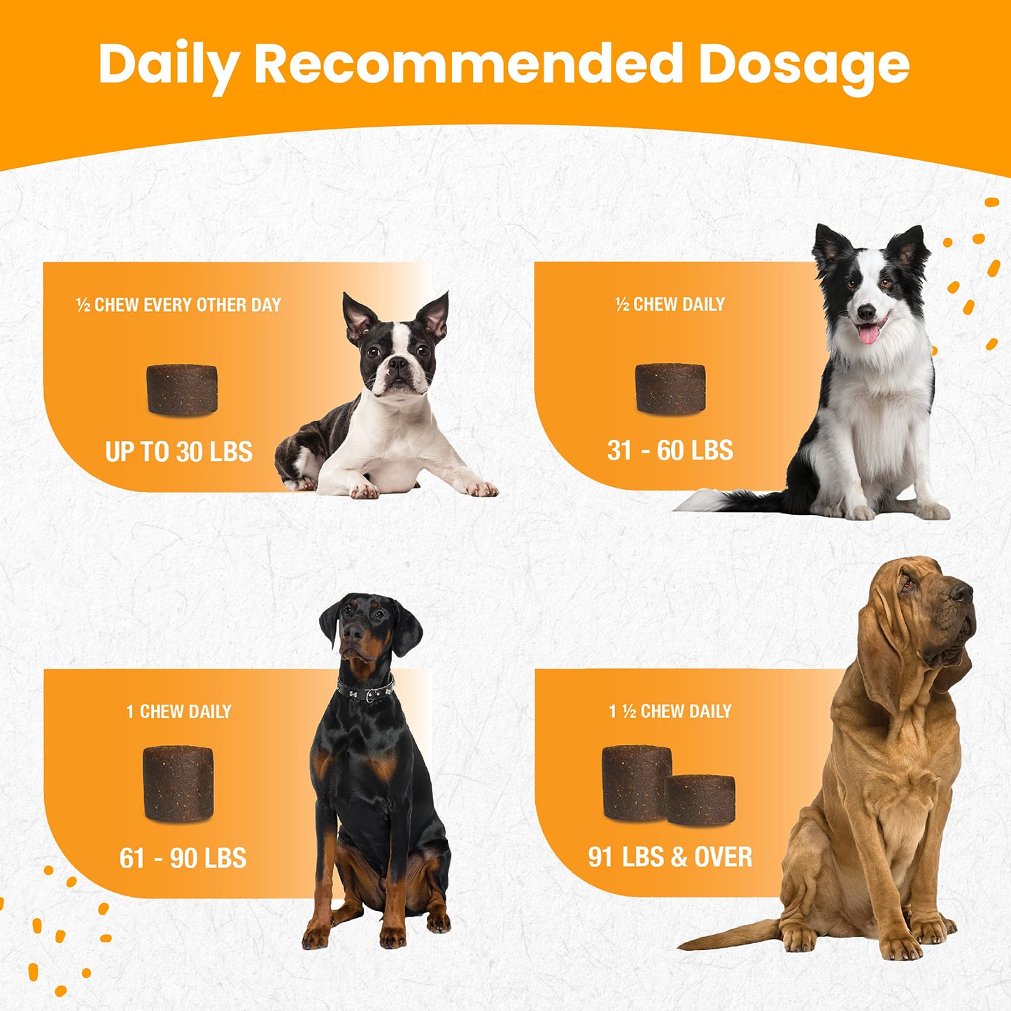 Nootie PROGILITY Daily Hip & Joint Chews for Dogs - Supports Joint Health, Joint Pain Relief, Helps Improve Mobility with Hyaluronic Acid, Glucosamine, Chondroitin, and MSM - For All Dog Sizes - 90 ct