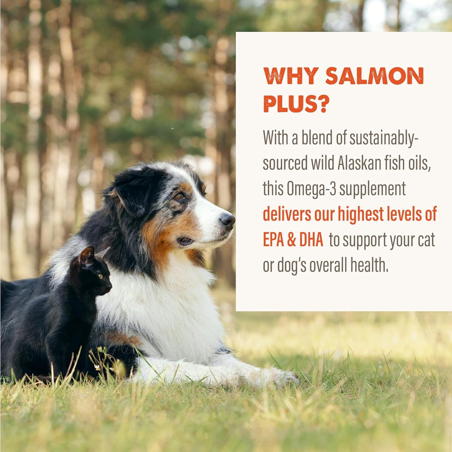 Grizzly Wild Alaskan Salmon Oil Dog Food Supplement Omega 3 Fatty Acids, 16 oz