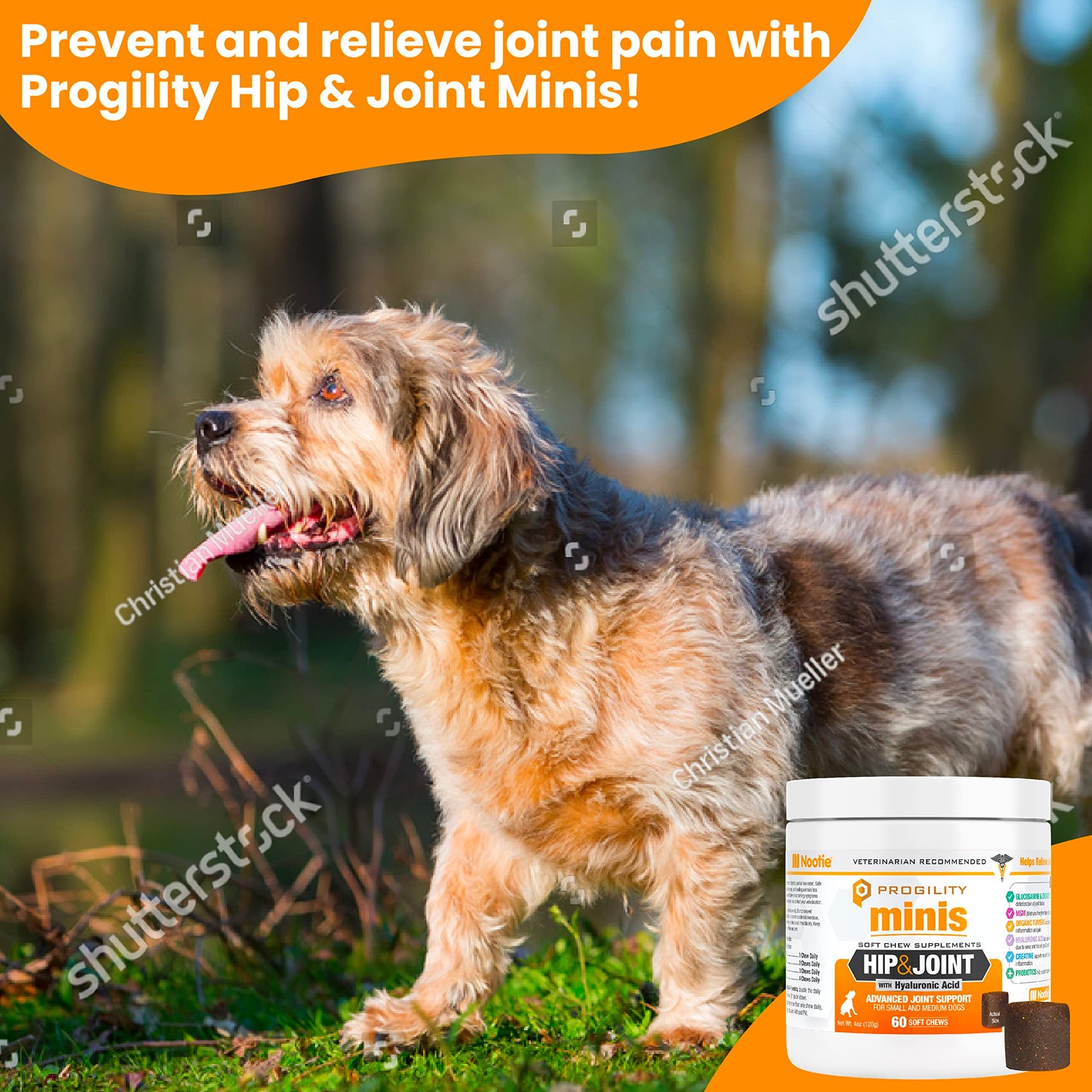 Nootie PROGILITY Daily Hip & Joint Chews for Dogs - Supports Joint Health, Joint Pain Relief, Helps Improve Mobility with Hyaluronic Acid, Glucosamine, Chondroitin, and MSM - For All Dog Sizes - 90 ct