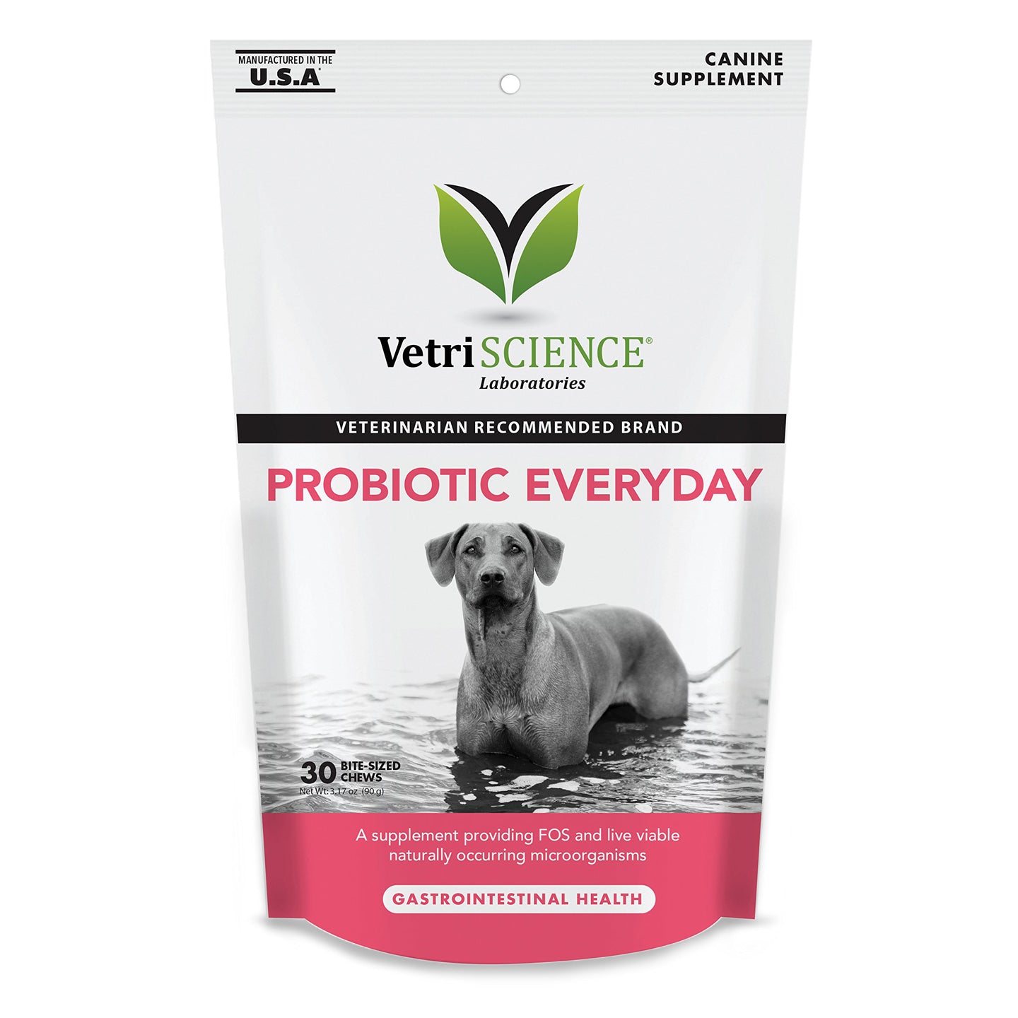 VetriScience Fast Balance GI Paste for Dogs and Cats, 35cc - Gastro Intestinal Support for Gut Health and Food Sensitivites